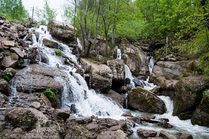 кук-караук